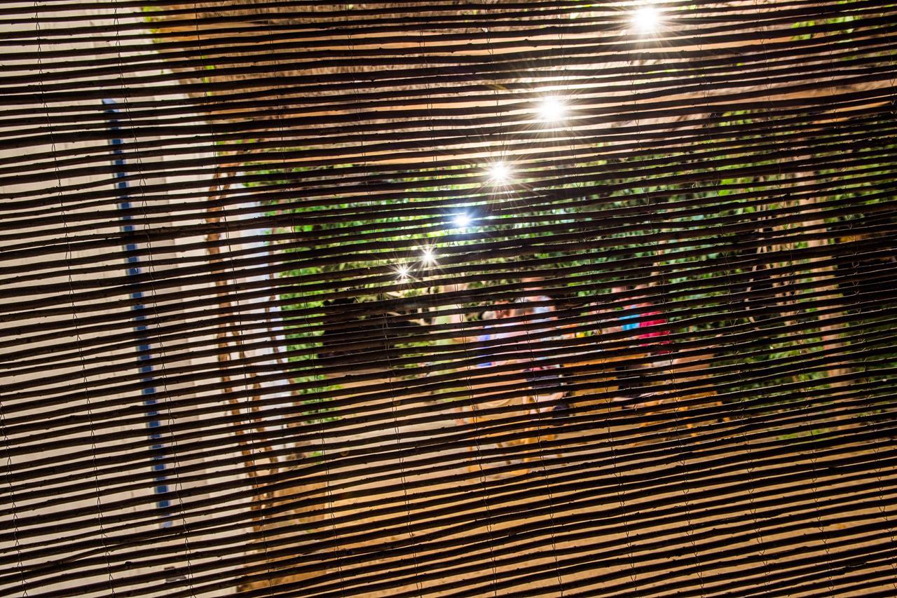 Casa Rural La Alameda Madridejos Exteriör bild